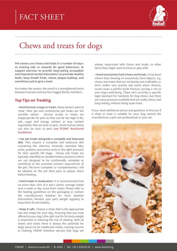 Chews and treats for dogs cover