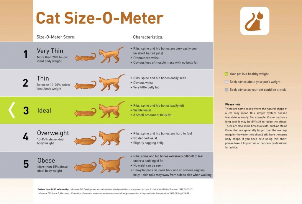 Dog Size-O-Meter