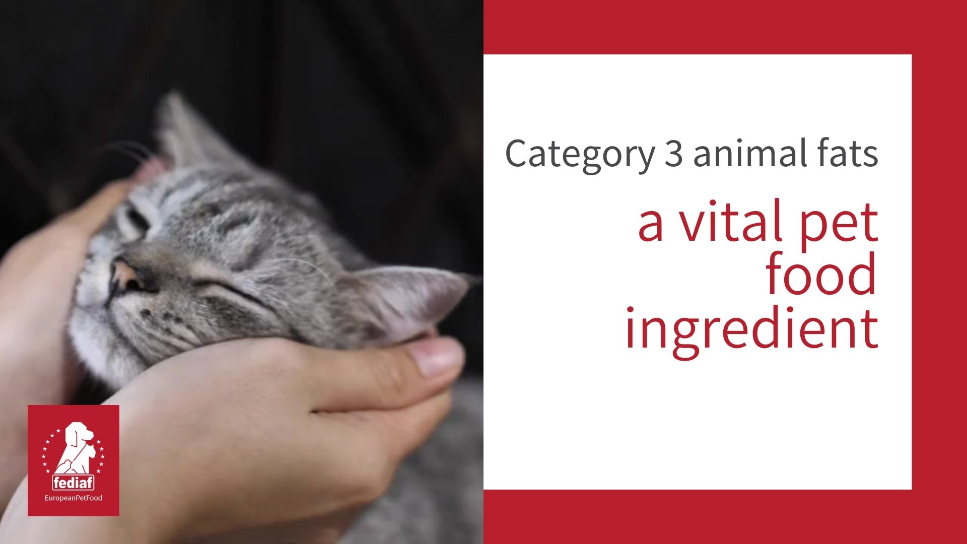 Category 3 animal fats FEDIAF