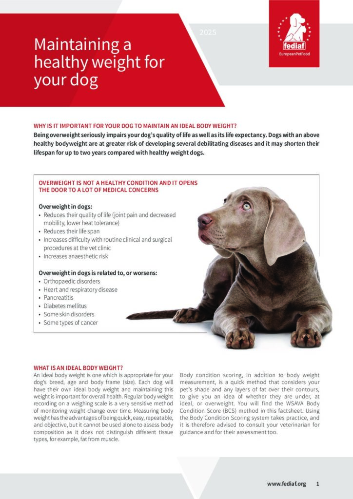 Healthy weight for dogs cover